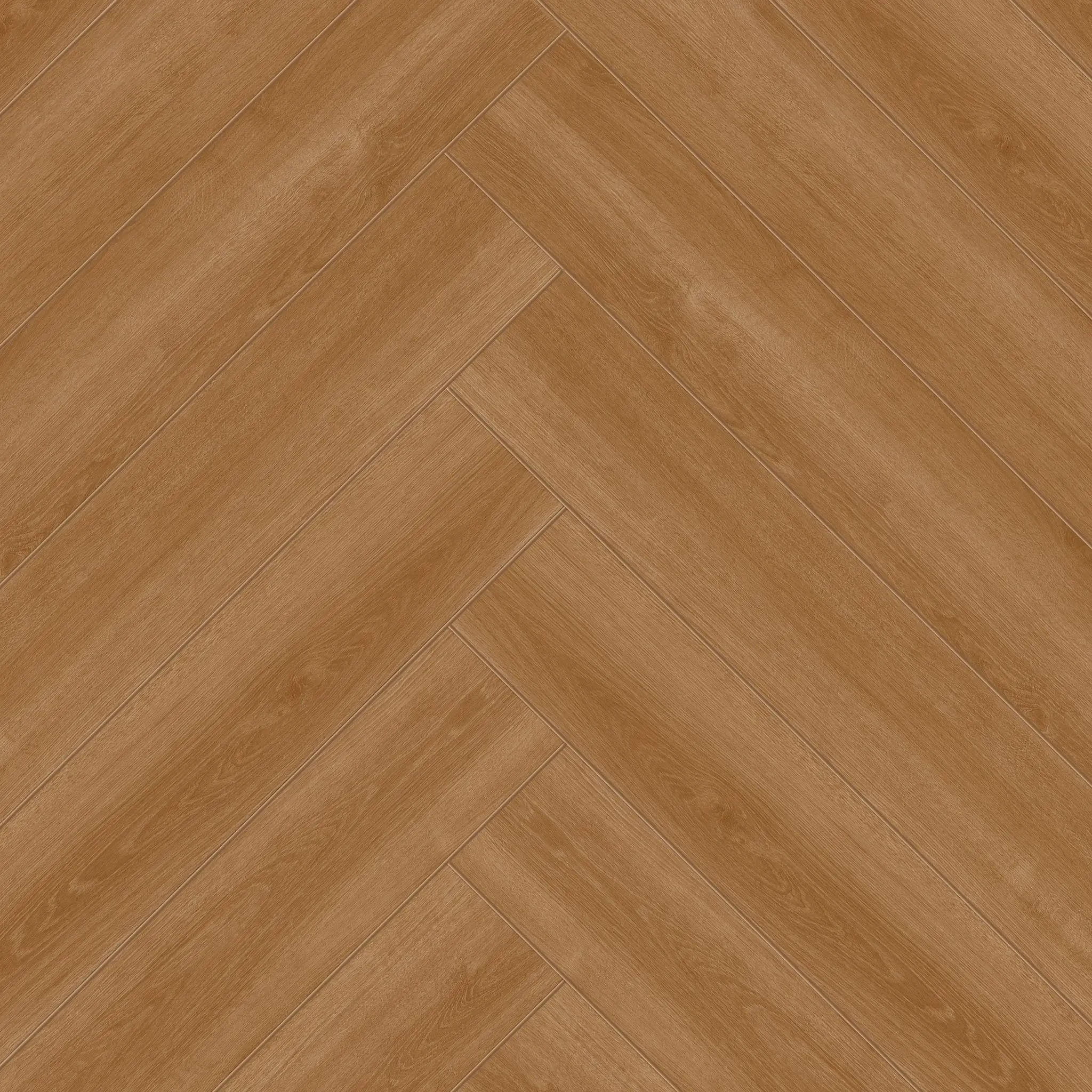 Filibe Meşe — 4541 